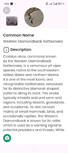 Snake Identifier ডাউনলোড করুন – সাপের নাম ও তথ্য জানুন - Screenshot 9